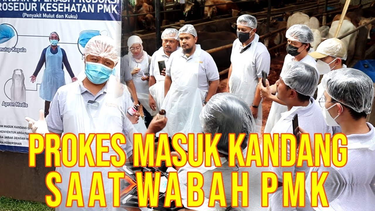 
                                 Protokol-Kesehatan-Wabah-PMK-Sapi-Kunjungan-Ke-Kandang